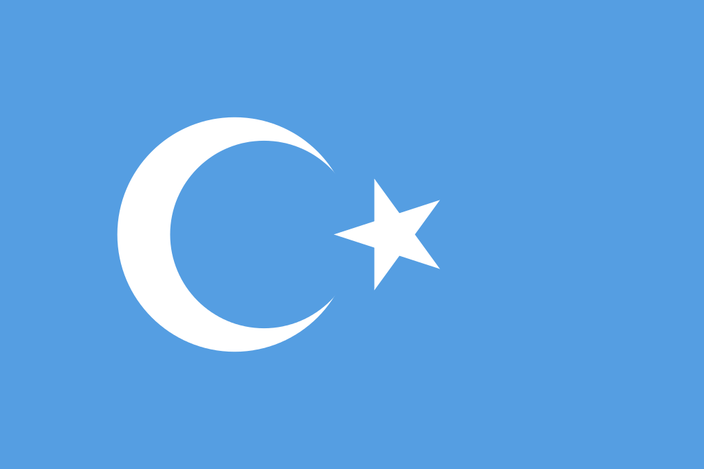 Doğu Türkistan Bayrağı